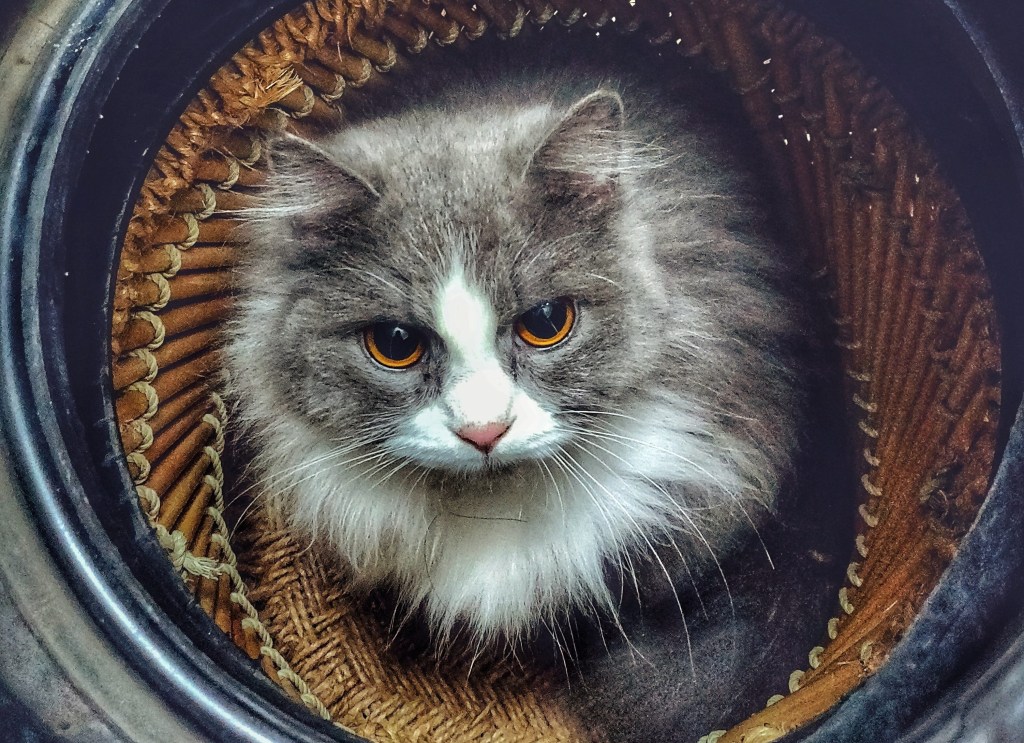 What your editor goes&nbsp;through