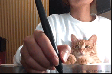 cat writing.gif