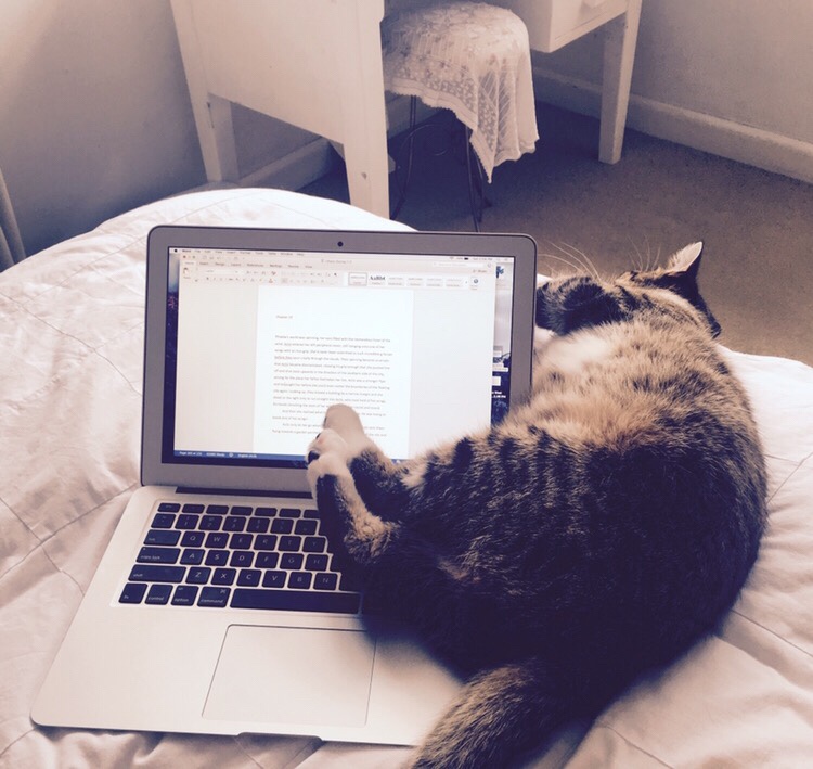 The Cat Behind The Cat’s&nbsp;Write