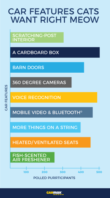 car-features-cats-want-right-meow-poll-results