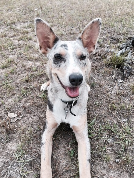 thumbnail_fullsizerender