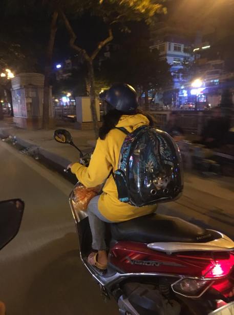 78800934_2570740273158000_7622077670490112000_n