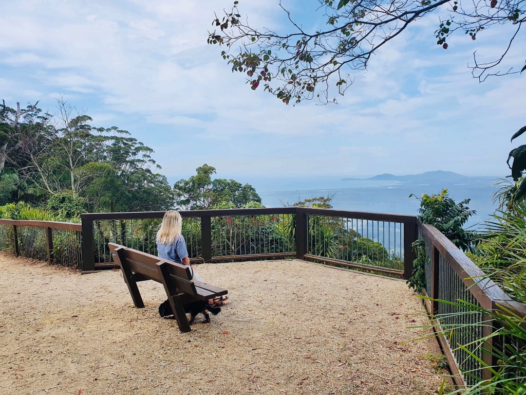 Where have I been this past&nbsp;year?